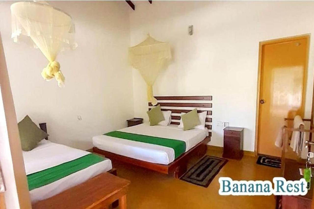 Banana Rest Sigiriya Bed and Breakfast Exteriör bild