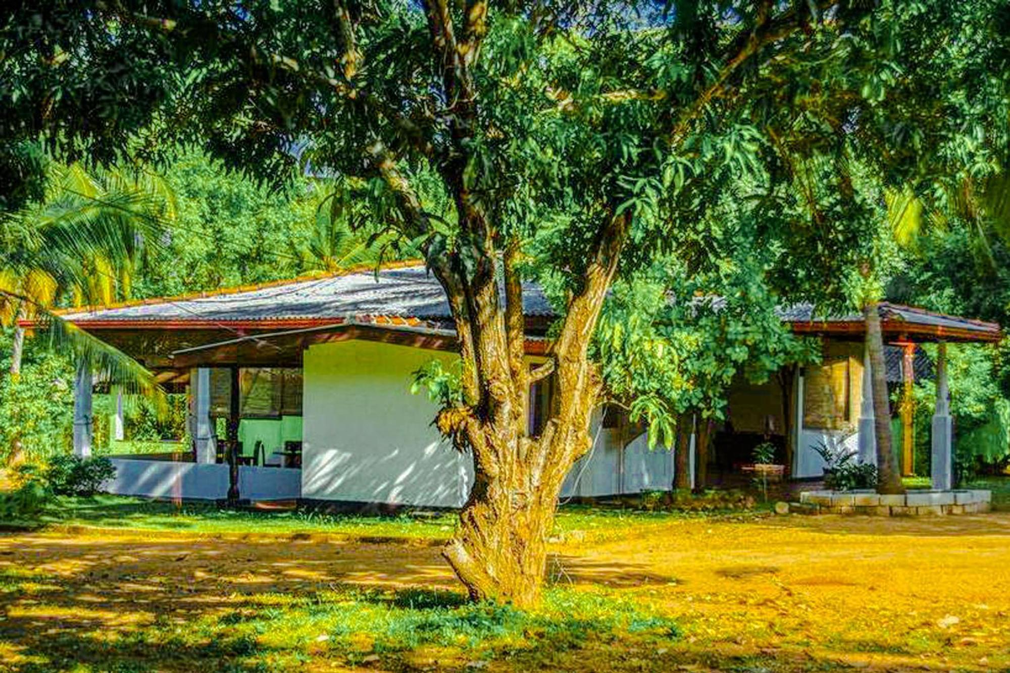 Banana Rest Sigiriya Bed and Breakfast Exteriör bild
