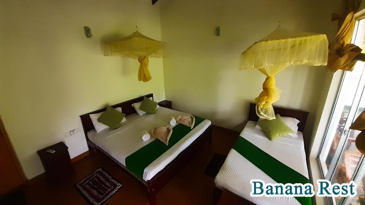 Banana Rest Sigiriya Bed and Breakfast Exteriör bild