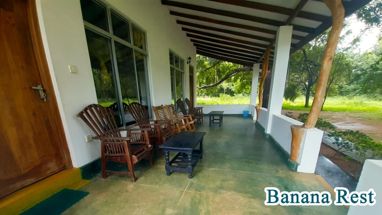 Banana Rest Sigiriya Bed and Breakfast Exteriör bild