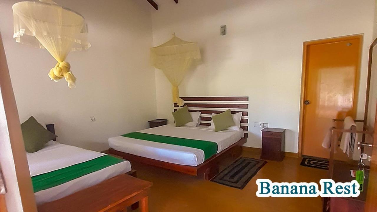 Banana Rest Sigiriya Bed and Breakfast Exteriör bild